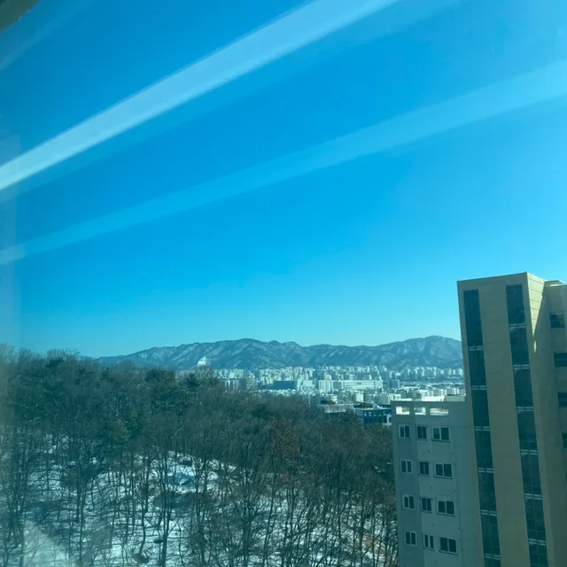 PCI클린정직
