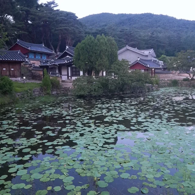 수선화
