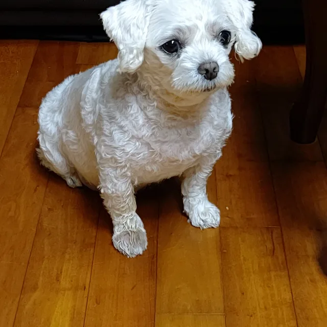 명써니