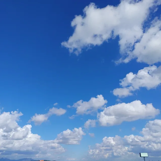 모찌