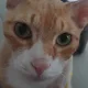 윰블리