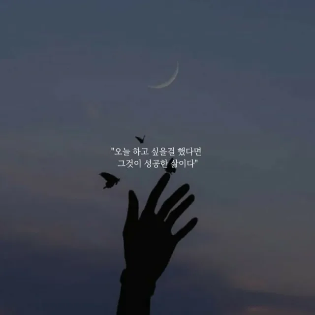 삼매