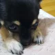 콩이탄이아빠