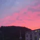 당근원샷