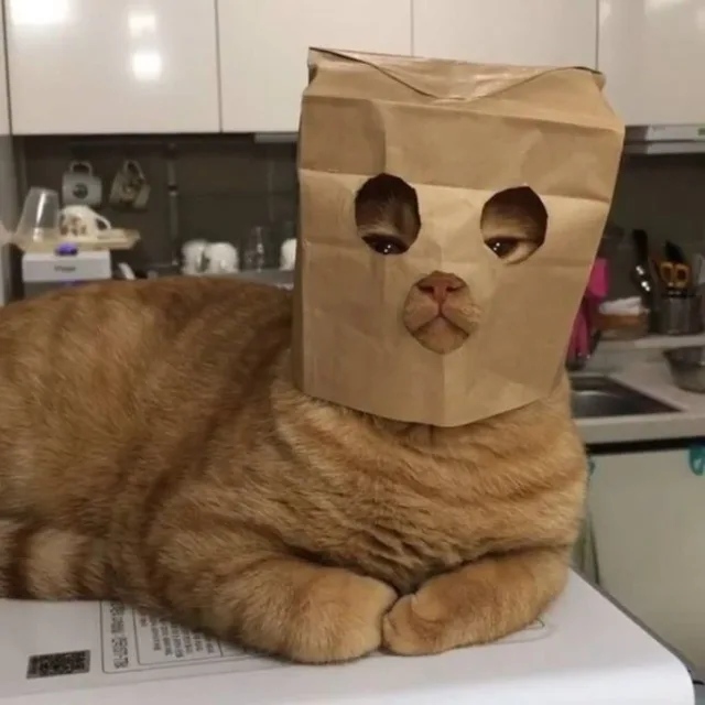 이중생활
