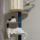 만두