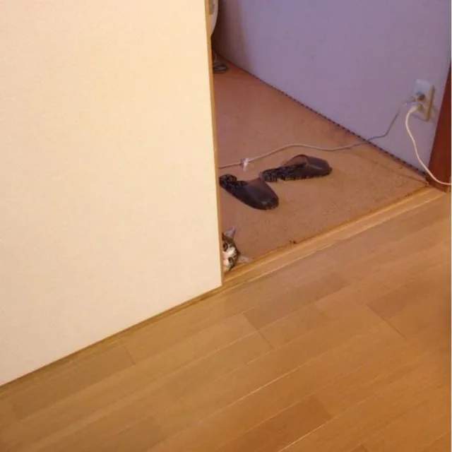 꾸루