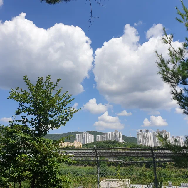 딸맘