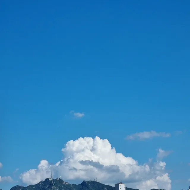 룩스