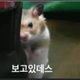 노숙자