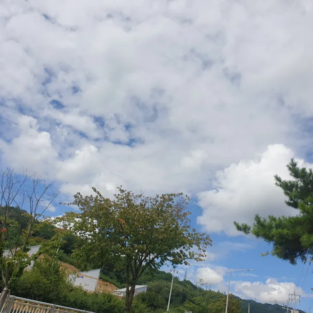 뭐든지