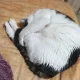 써지꼼