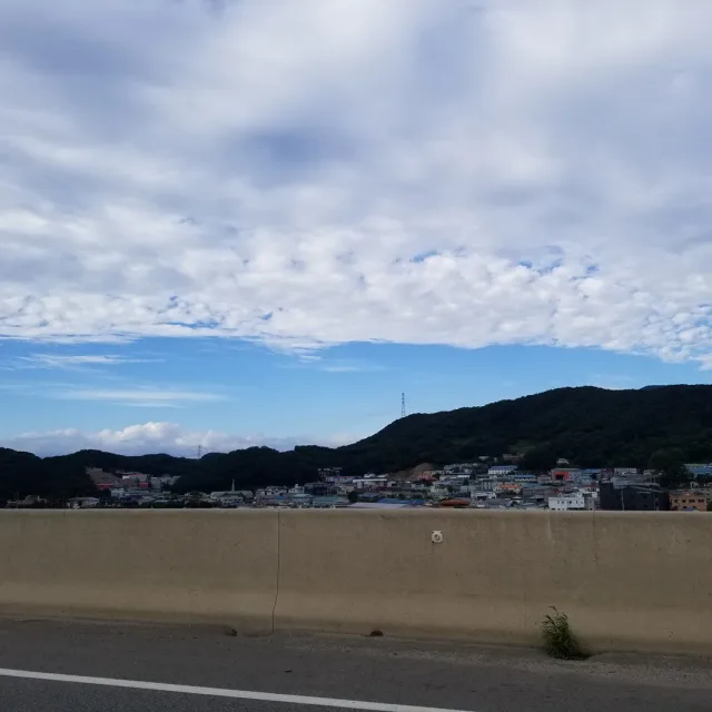콩콩이