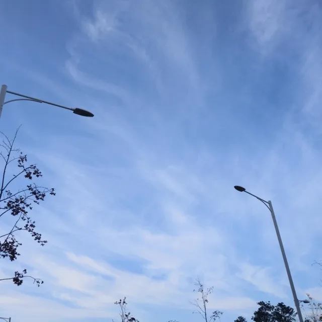꼬미상점입니다만