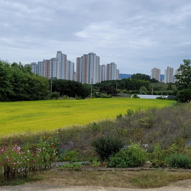 쒼나게