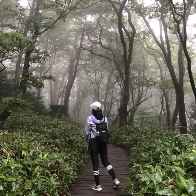 콕끼