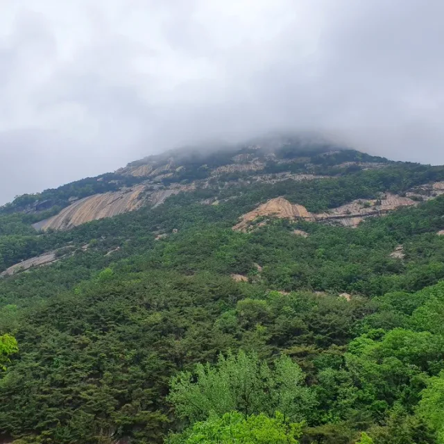 하임