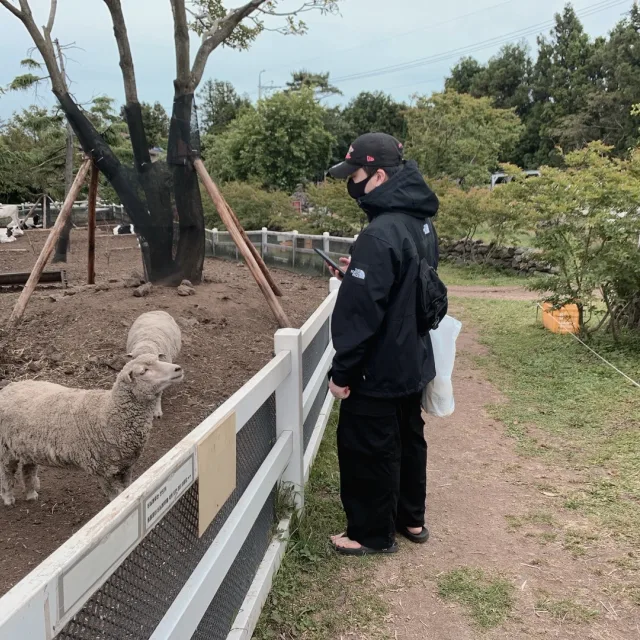 성구없다