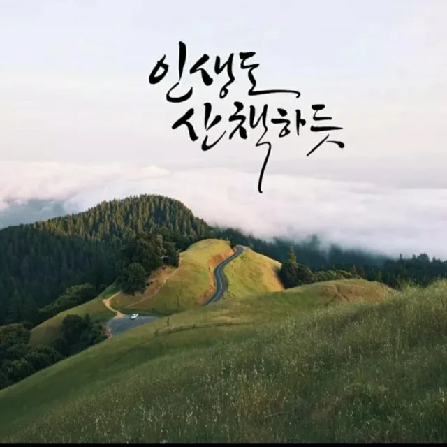 Mr션샤인
