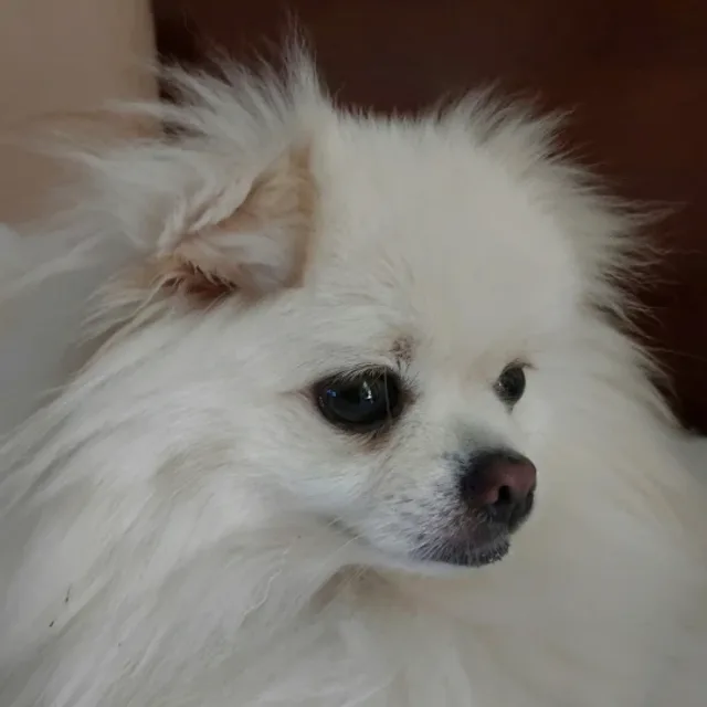 profile