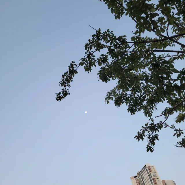 욥욥