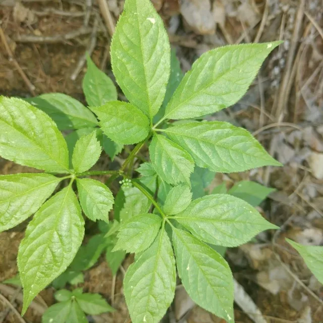 기환할맘
