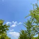 리두