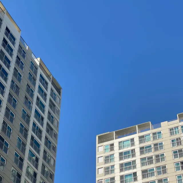 포도