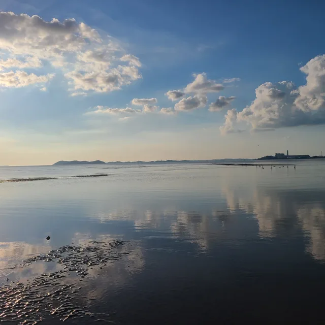 보라도리