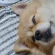 꾸꾸까까