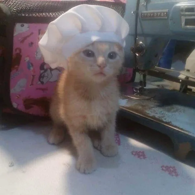 팥떡
