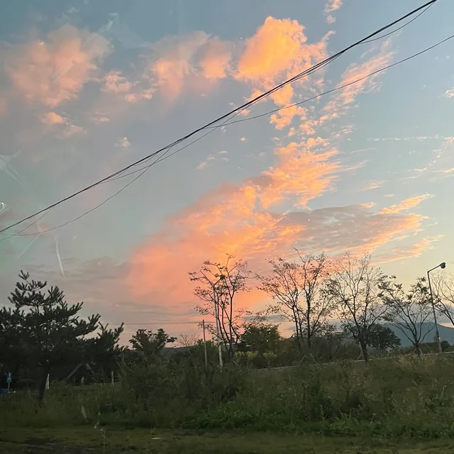 쥬니