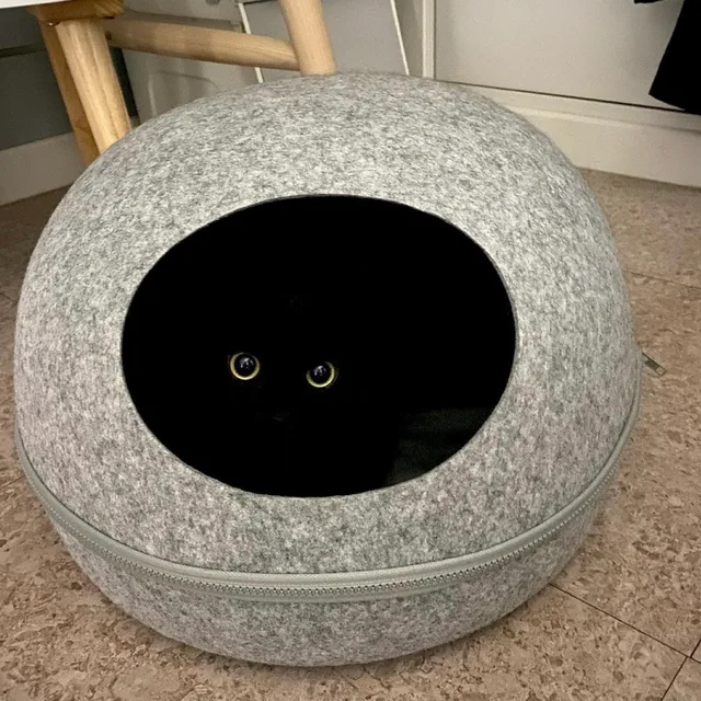 김먼지