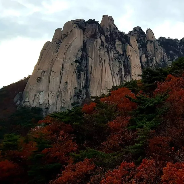 동천
