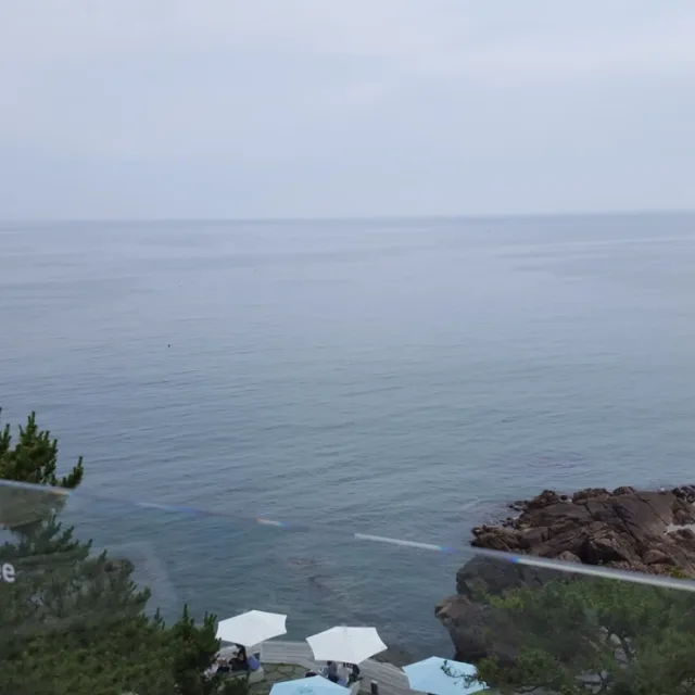 펭코