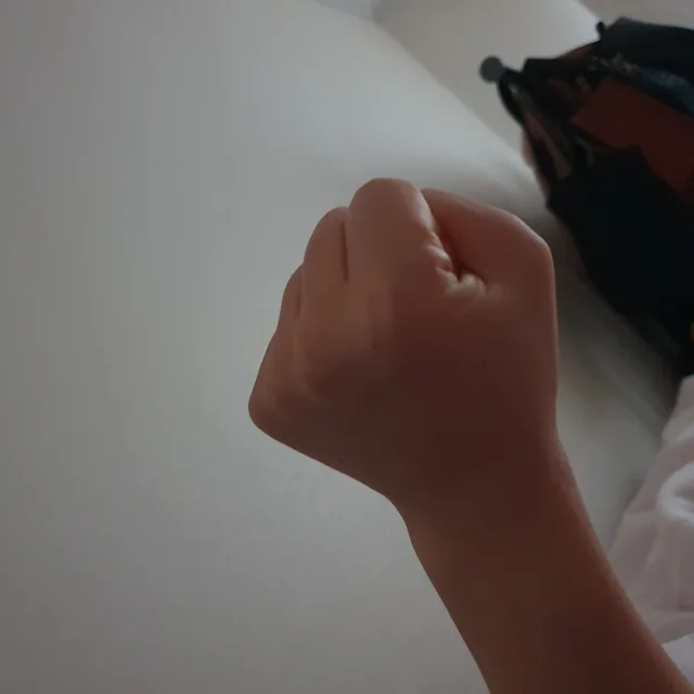 방이왕주먹