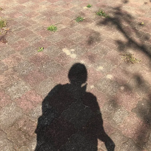 건타시