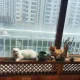 몽둥이
