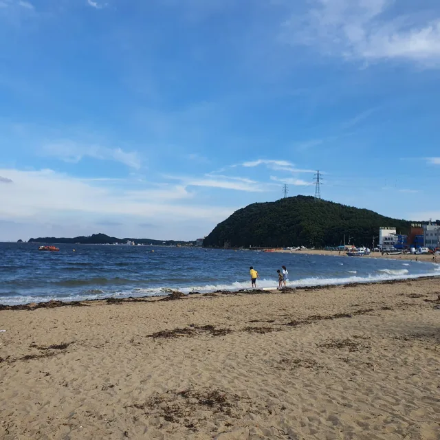 로지