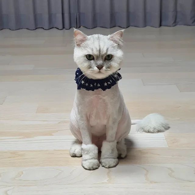 장유