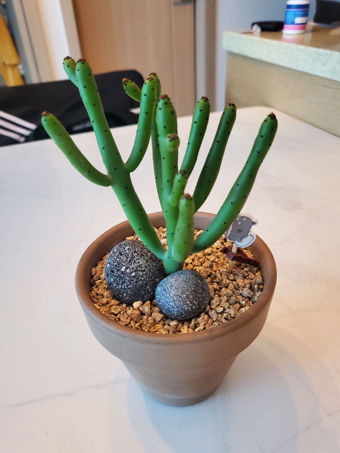 꾸릉이꾸릉