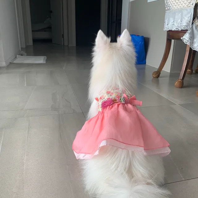 소로나민