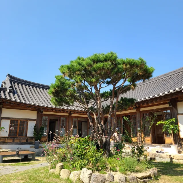 이mi77