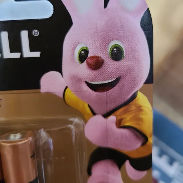 쥬디