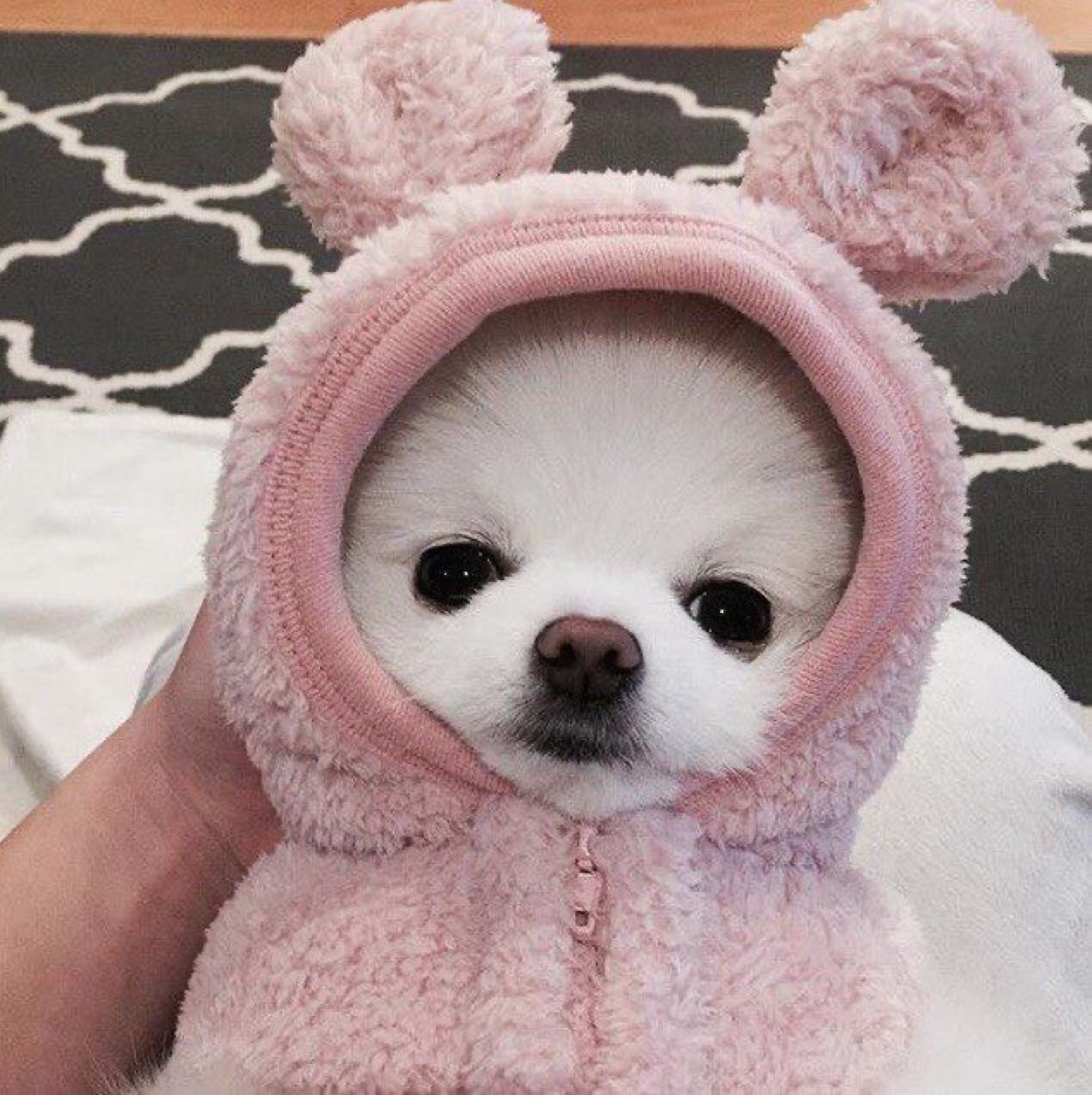 안쓰는거정리중
