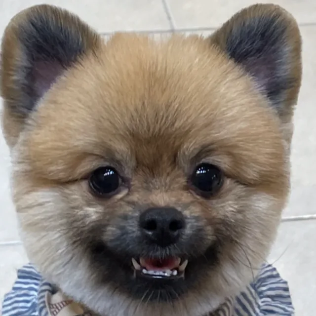 김동근빨리와