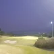 백구