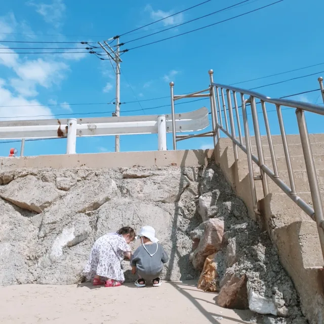 태지쁘