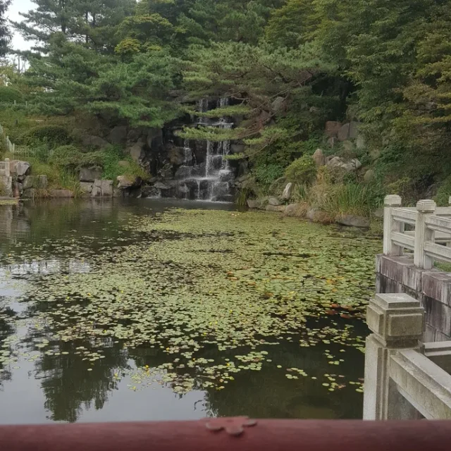신선한