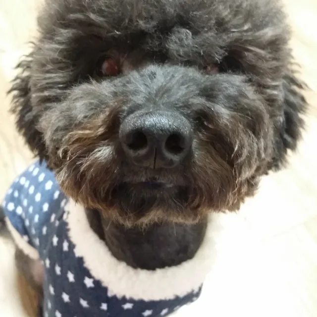 당근좋아